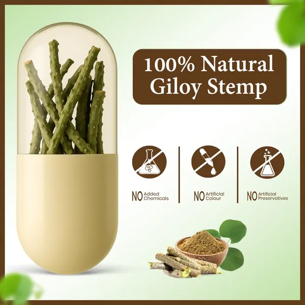 Odon_Natural_Giloy_Stem_Powder_Capsules_120_Count_Immunity_Detox