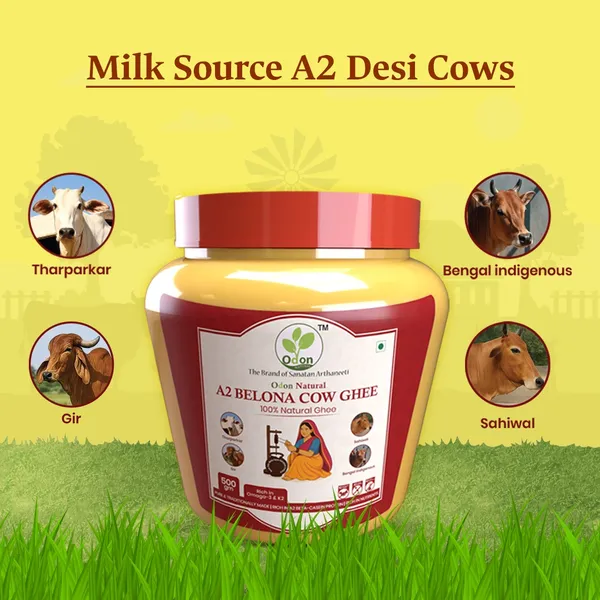 Odon_Natural_A2_Bilona_Cow_Ghee_500G_Traditional_method