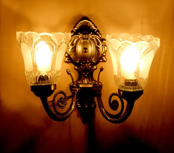 SWIATLO_Wall_Light/Wall_Lamp_to_Décor_Home/Living_Room/Bedroom/Office/Dining/Cafe/Restaurants,_Double_Shade_Flower,_Black_Antique_(Pack_of_1,_with_Bulb)