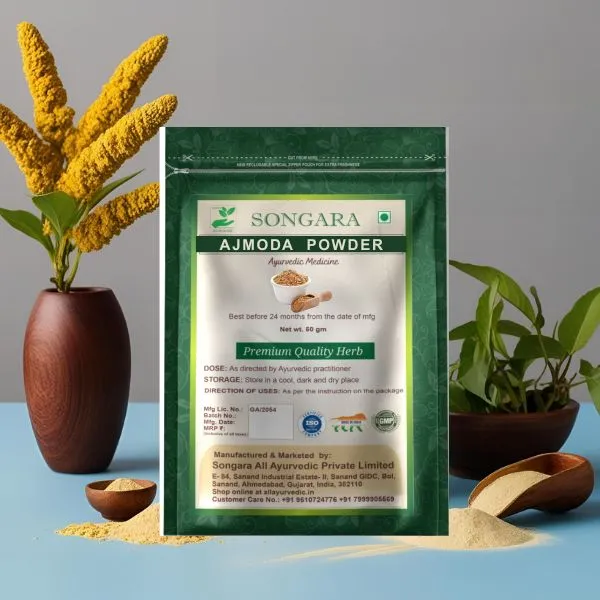 Ajmoda-Powder-Apium-Graveolens-The-Ayurvedic-Digestive-Joint-Health-Booster_-_Pack_Of_7