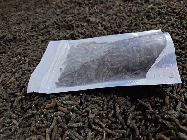 Long-Pepper-Pippali-Lindi-Pippar-Piper-Longum-Whole-Premium-Quality