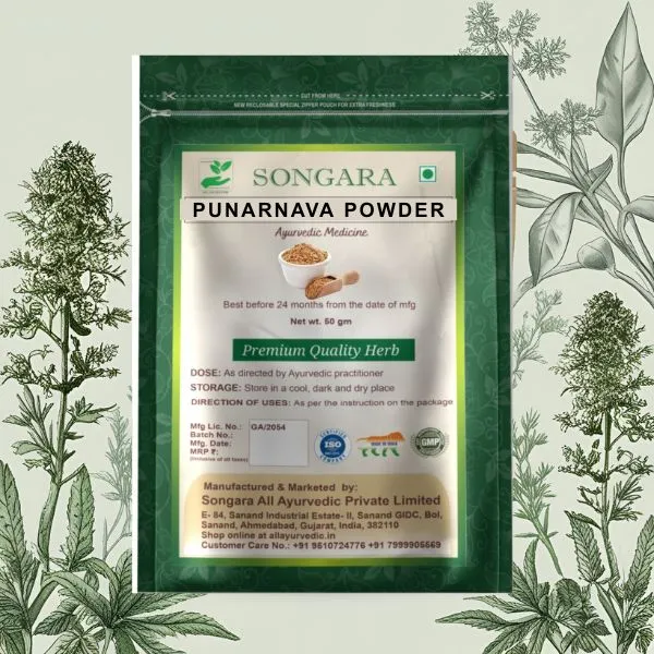 Punarnava-Powder-Boerhaavia-Diffusa-The-Ayurvedic-Rejuvenator_-_Pack_Of_5