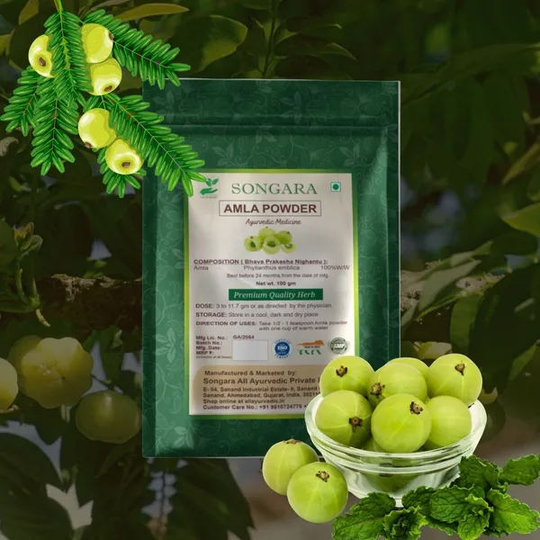 Songara-Amla-Powder-Phyllanthus-Emblica-Best-For-Hair-Vitamin-C-Supplement-Natural-Detoxifier_-_Pack_Of_3