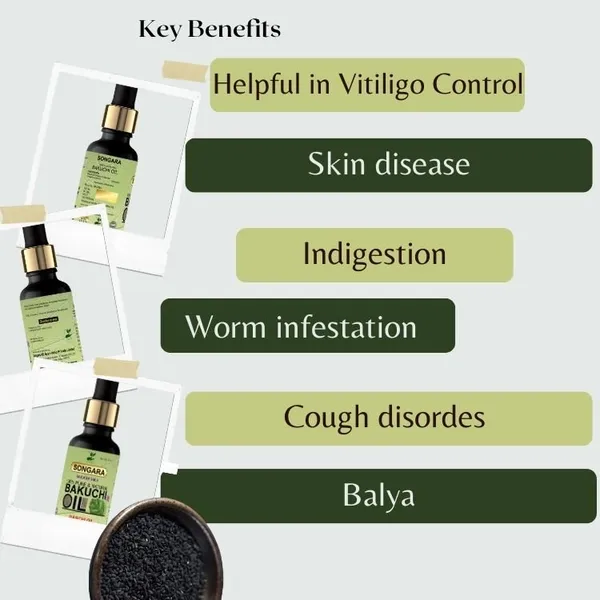 Songara-Bakuchi-Oil-Psoralea-Corylifolia-Natural-Therapeutic-100-Undiluted-Natural-Therapeutic-Grade-Traditional-Remedy-To-Cure-Skin-Hair-Care-Grade-Cold-Pressed-50-Ml_-_Pack_Of_2