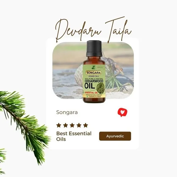 Songara-Cedarwood-Essential-Oil-100-Pure-Ayurvedic-Strengthens-Hair-Follicles-Promotes-Shiny-Hair-Beard-Oil-For-Men-Natural-Undiluted-Therapeutic-Grade-Essential-Oil-Chemical-And-Preservative-Free-20Ml_-_Pack_Of_2