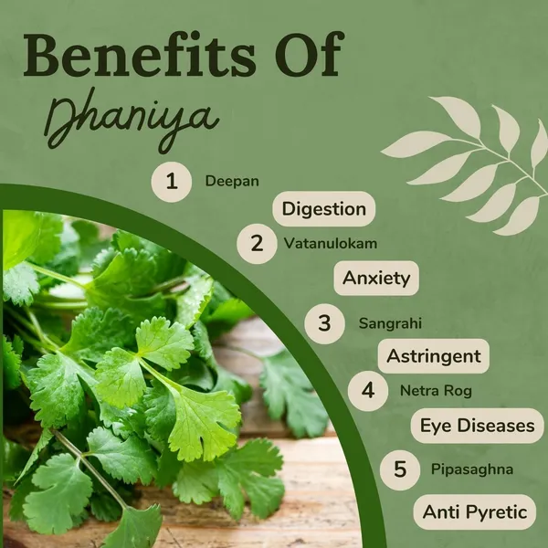 Songara-Dhaniya-Powder-Fresh-Natural-Coriander-Powder-Dhaniya-Powder-Indian-Masala-Preservative-Free-100-Gram-1-Unit_-_Pack_Of_6