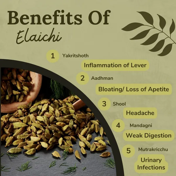 Songara-Elaichi-Powder-Amomum-Subulatum-Premium-Elaichi-Powder-Pure-And-Authentic-Convenient-And-Versatile-Exceptional-Flavor-Ayurvedic-Health-Benefits_-_Pack_Of_2