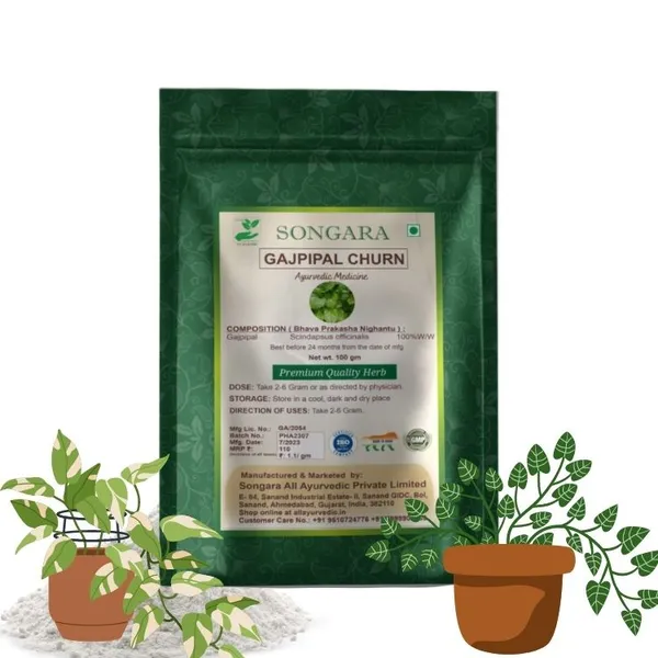 Songara-Gaj-Pipal-Ayurvedic-Gajpeepal-Gaj-Peepal-Scindapsus-Officinalis-Powder-Pure-Natural-And-Ayurvedic-Pack-Of-1