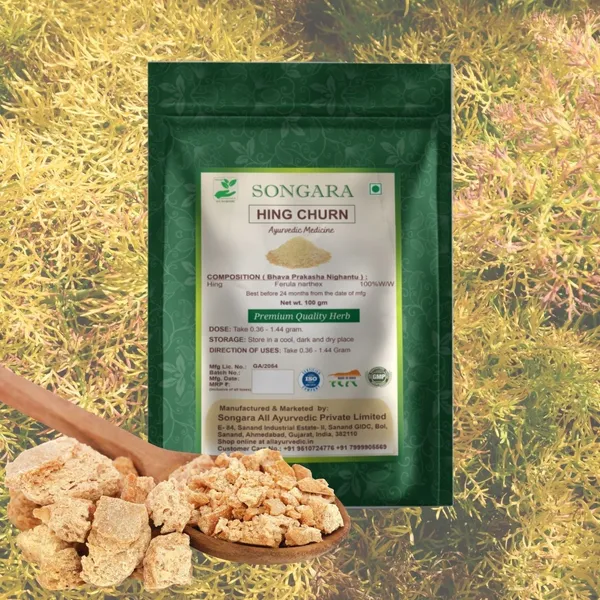 Songara-Hing-Churn-Ferula-Narthex-100-Natural-And-Pure-Anti-Inflammatory-Aromatic-Flavor-Versatile-Usage_-_Pack_Of_2