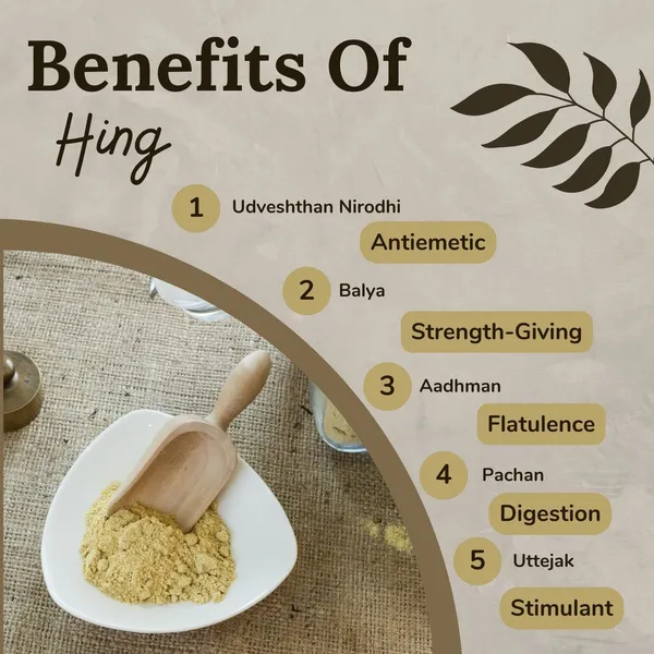 Songara-Hing-Churn-Ferula-Narthex-100-Natural-And-Pure-Anti-Inflammatory-Aromatic-Flavor-Versatile-Usage_-_Pack_Of_2