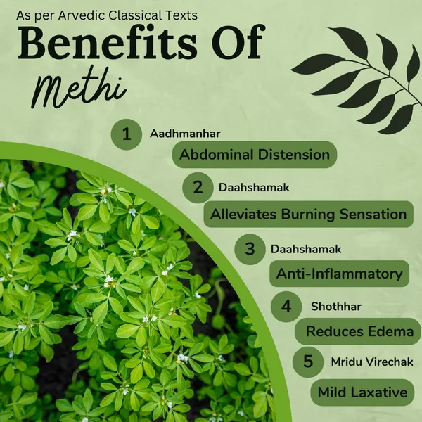 Songara-Methi-Powder-Trigonella-Foenum-Graecum-Linn_-_Pack_Of_7