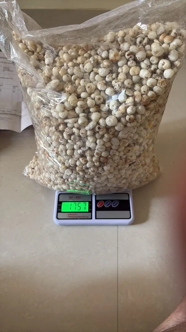 Kunwars_90_Raw_Makhana_Fox_Nuts_Grade_3+