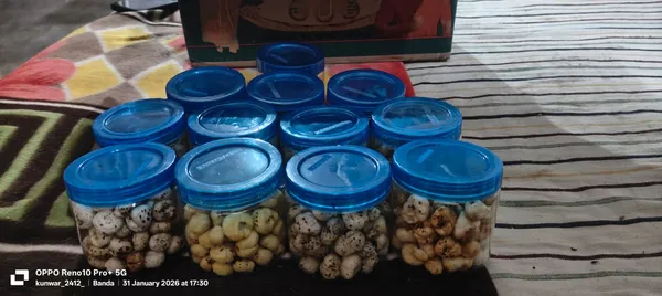 Kunwars_90_Makhana_TRIAL_PACK