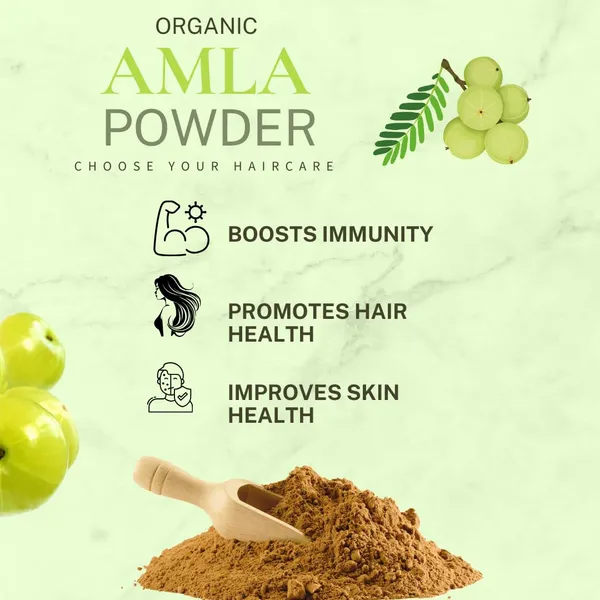 Hennahub_Organic_Amla_Powder_For_Hair_Care_100_Pure_Natural_Chemical_Free_Hair_Strengthening_Conditioning_Powder_Rich_In_Vitamin_C_Antioxidants_For_Healthy_Hair_100_Gm_New_Pack_Pack_Of_4
