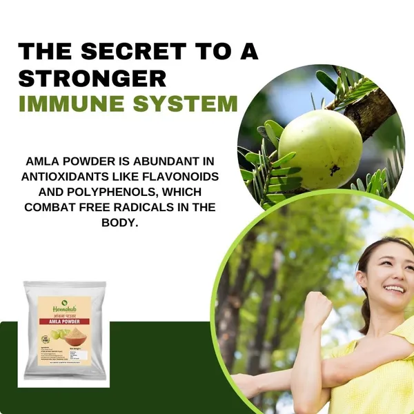 Hennahub_Natural_New_Haircare_Powder_Amla_Powder_1_Kg