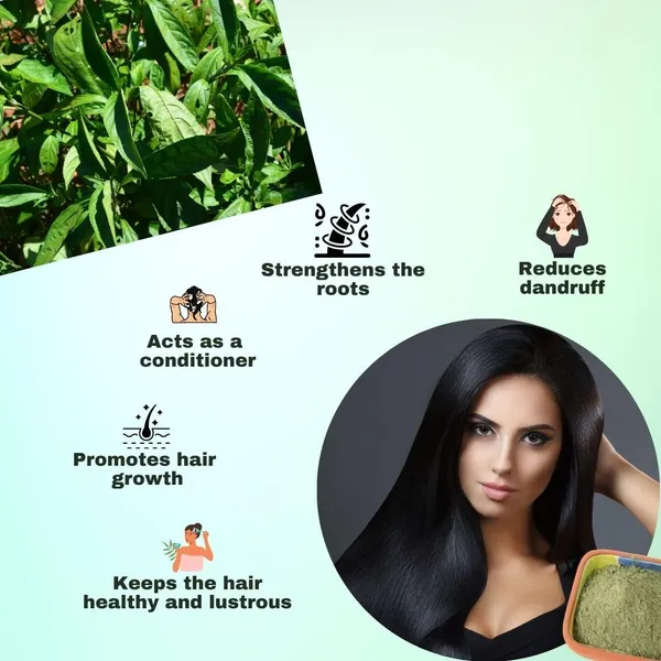 Hennahub_Natural_New_Haircare_Powder_Indigo_Powder_1_Kg
