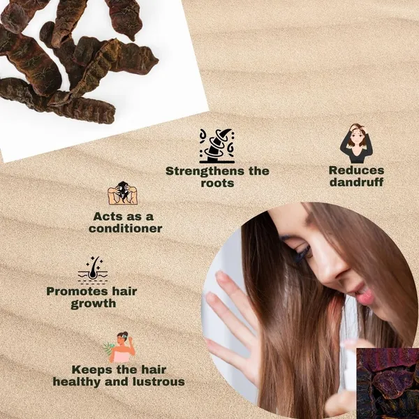 Hennahub_Natural_New_Haircare_Powder_Shikakai_Powder_1_Kg