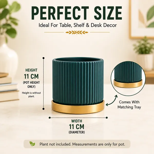 Terracotta_Indoor_Blue_Planter_With_Golden_Stand