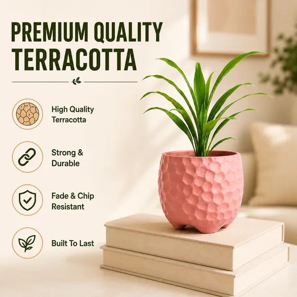 Terracotta_Indoor_Textured_Pink_Planter_Pot