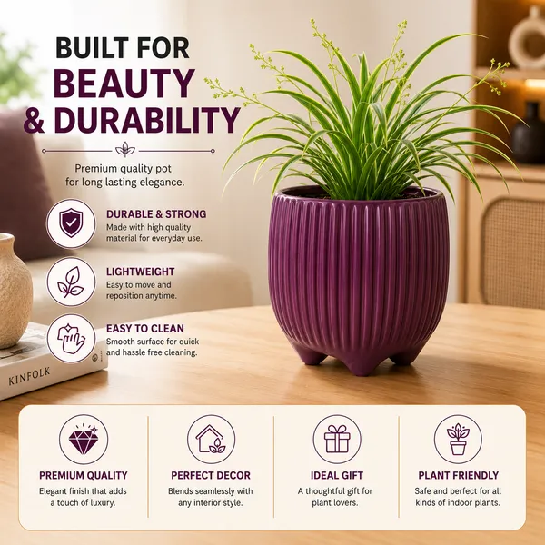 Terracotta_Indoor_Purple_Ribbed_Planter_Pot