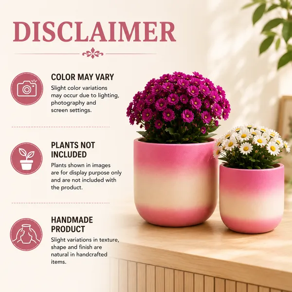 Pack_Of_2_Terracotta_Indoor_Pink_Gradient_Planter