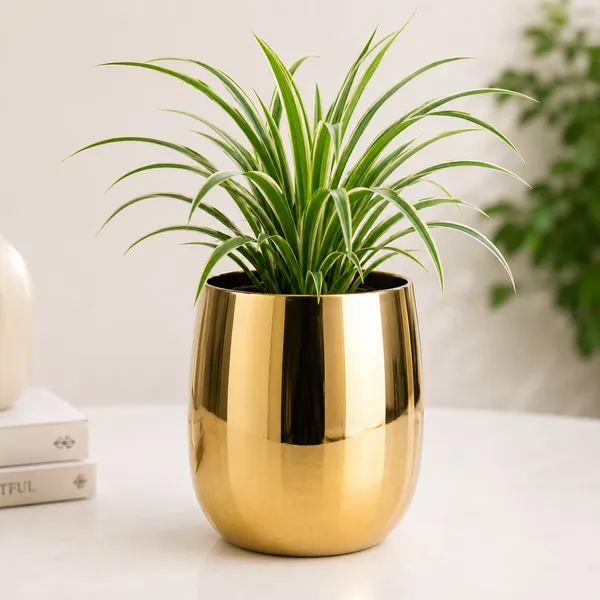 Iron_Indoor_Gold_Round_Planter_Pot