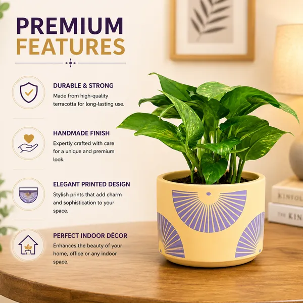 Terracotta_Indoor_Yellow_Sunburst_Pattern_Planter_Pot