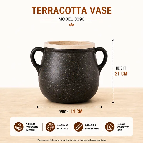 Terracotta_Decorative_Black_Dual_Handle_Flower_Vase