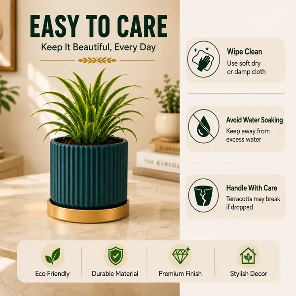 Terracotta_Indoor_Blue_Planter_With_Golden_Stand