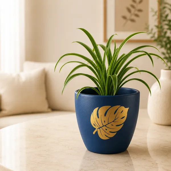 Terracotta_Indoor_Navy_Blue_Golden_Leaf_Planter_Pot