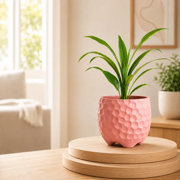Terracotta_Indoor_Textured_Pink_Planter_Pot