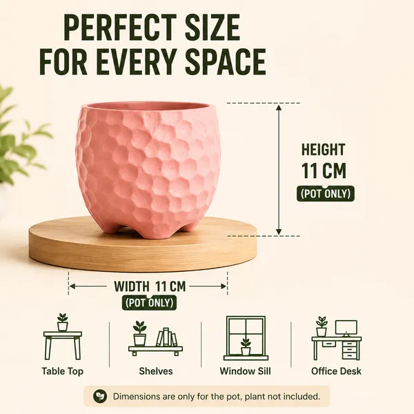 Terracotta_Indoor_Textured_Pink_Planter_Pot