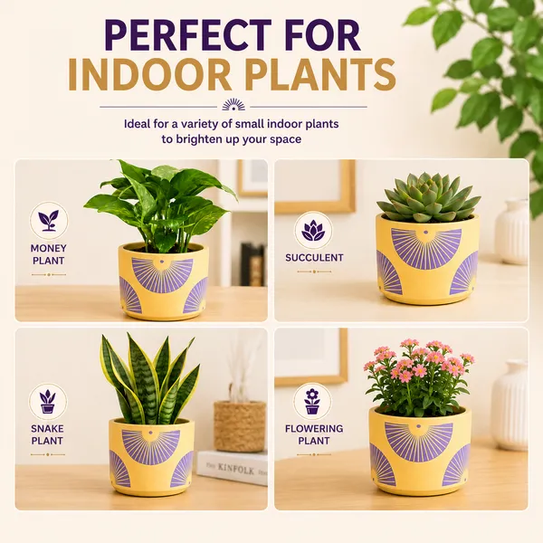 Terracotta_Indoor_Yellow_Sunburst_Pattern_Planter_Pot