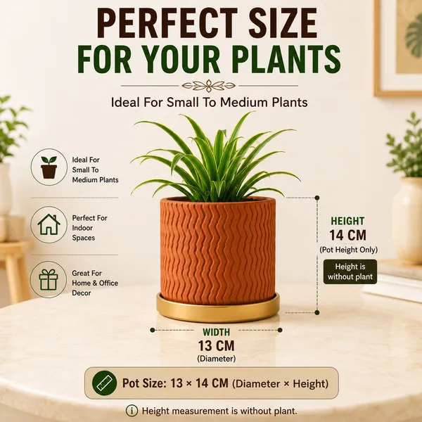 Terracotta_Textured_Golden_Saucer_Planter_Pot