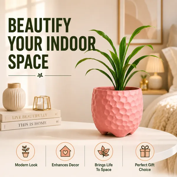 Terracotta_Indoor_Textured_Pink_Planter_Pot