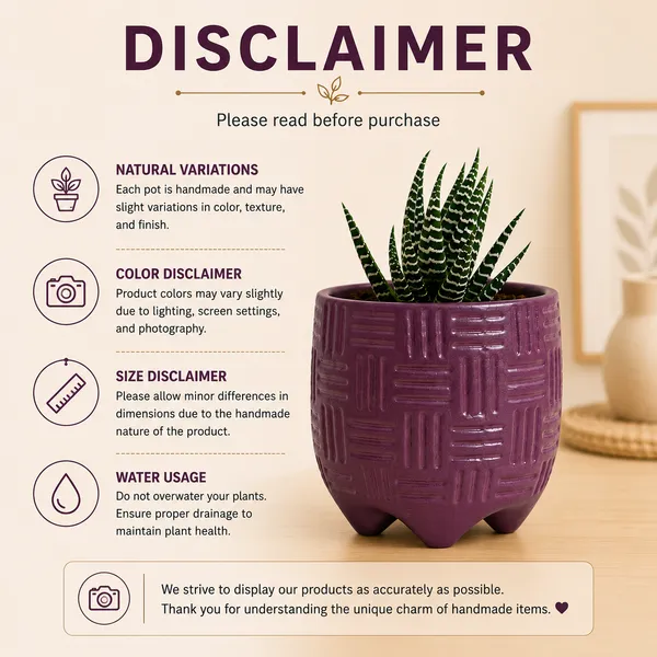 Terracotta_Indoor_Purple_Geometric_Pattern_Planter_Pot