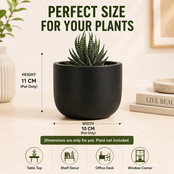 Terracotta_Indoor_Matte_Black_Planter_Pot
