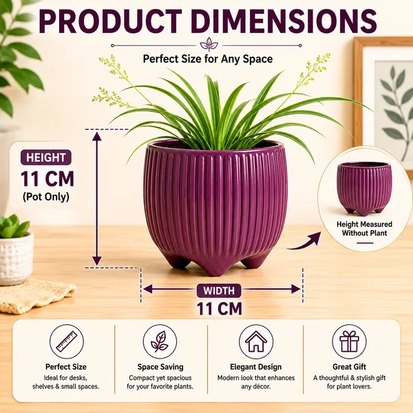 Terracotta_Indoor_Purple_Ribbed_Planter_Pot