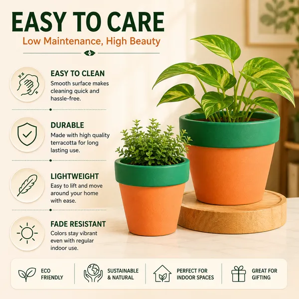 Pack_Of_2_Terracotta_Indoor_Orange_Green_Planter_Pot