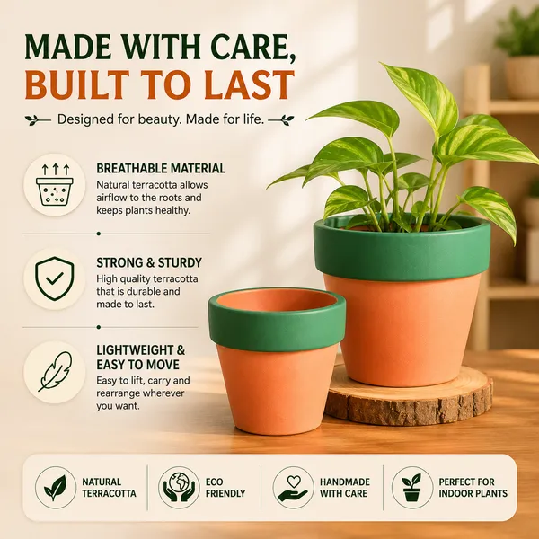 Pack_Of_2_Terracotta_Indoor_Orange_Green_Planter_Pot