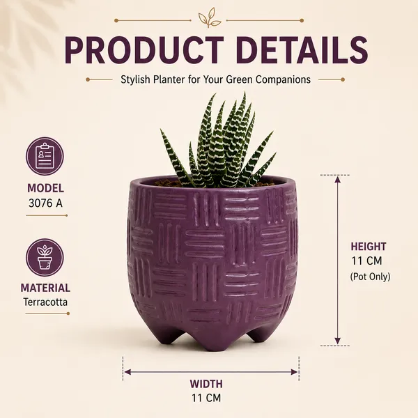Terracotta_Indoor_Purple_Geometric_Pattern_Planter_Pot