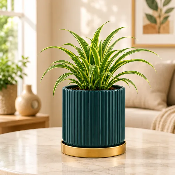 Terracotta_Indoor_Blue_Planter_With_Golden_Stand