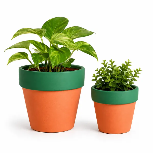 Pack_Of_2_Terracotta_Indoor_Orange_Green_Planter_Pot