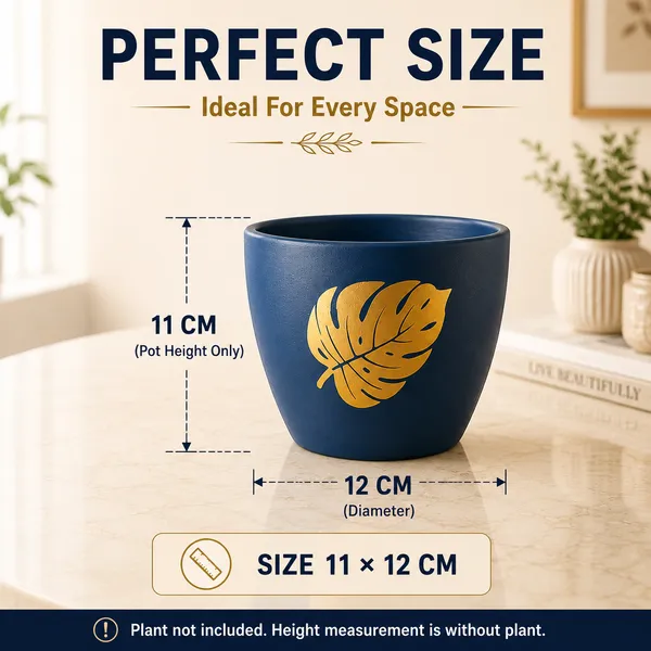 Terracotta_Indoor_Navy_Blue_Golden_Leaf_Planter_Pot