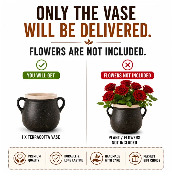 Terracotta_Decorative_Black_Dual_Handle_Flower_Vase