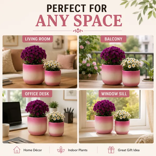 Pack_Of_2_Terracotta_Indoor_Pink_Gradient_Planter
