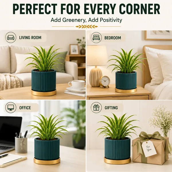 Terracotta_Indoor_Blue_Planter_With_Golden_Stand