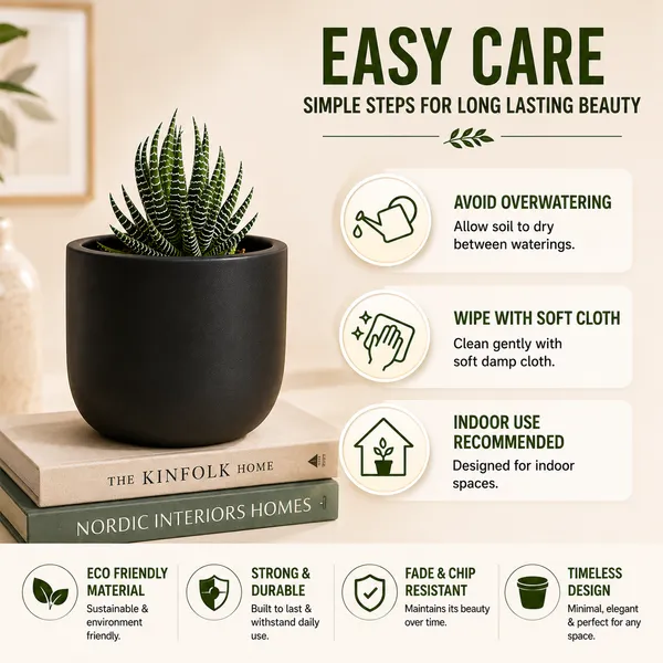 Terracotta_Indoor_Matte_Black_Planter_Pot