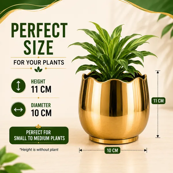 Iron_Decorative_Scalloped_Rim_Gold_Planter_Pot
