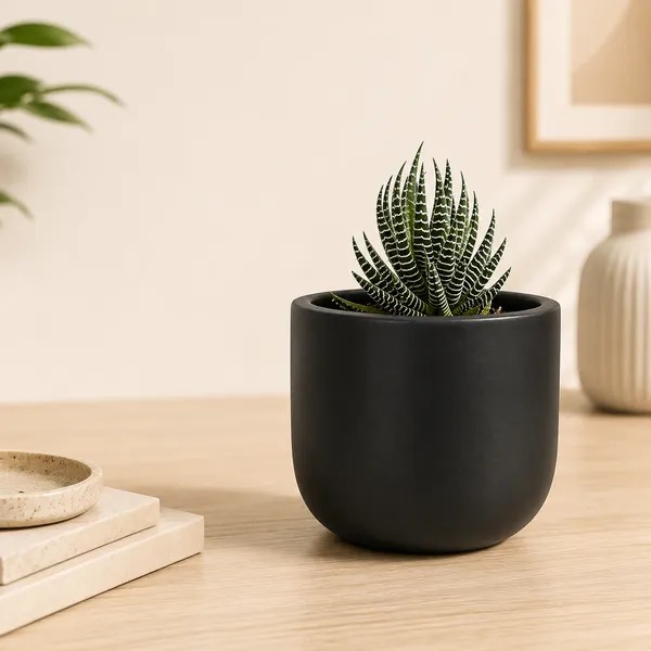 Terracotta_Indoor_Matte_Black_Planter_Pot